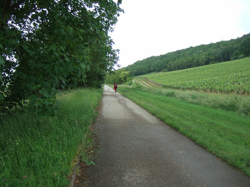 2010-05- (84).JPG - Nun laufen wir wieder die Piste von heute morgen